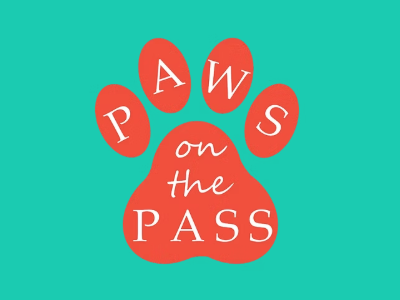 PAWS on the Pass logo in orange and green for pet grooming service in Pass Christian, MS